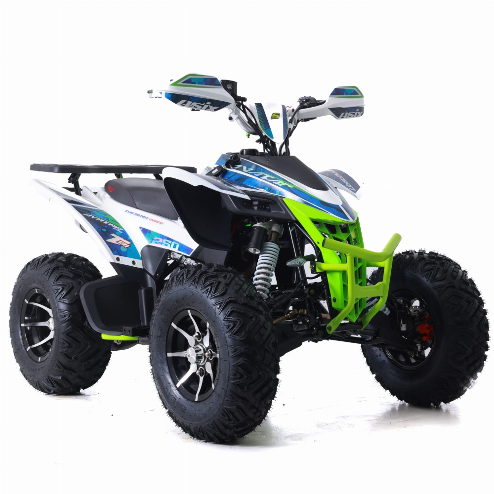 AVATAR ASIX QUAD 250 (25).jpg