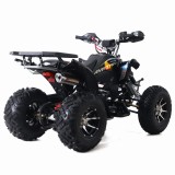 AVATAR ASIX QUAD 250 (13).jpg