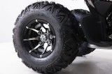 AVATAR ASIX QUAD 250 (27).jpg