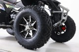 AVATAR ASIX QUAD 250 (1).jpg