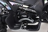 AVATAR ASIX QUAD 250 (5).jpg