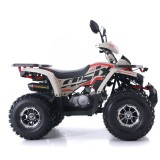 FOURCRAFT 125 ASIX QUAD 125(29).JPG