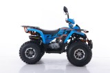 FOURCRAFT 125 ASIX QUAD 125(1).JPG