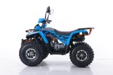 FOURCRAFT 125 ASIX QUAD 125(4).JPG