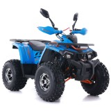 FOURCRAFT 125 ASIX QUAD 125(8).JPG