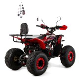 RAPTOR 016 8 PRO XTR QUAD 125 (7).jpg