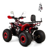RAPTOR 016 8 PRO XTR QUAD 125 (8).jpg