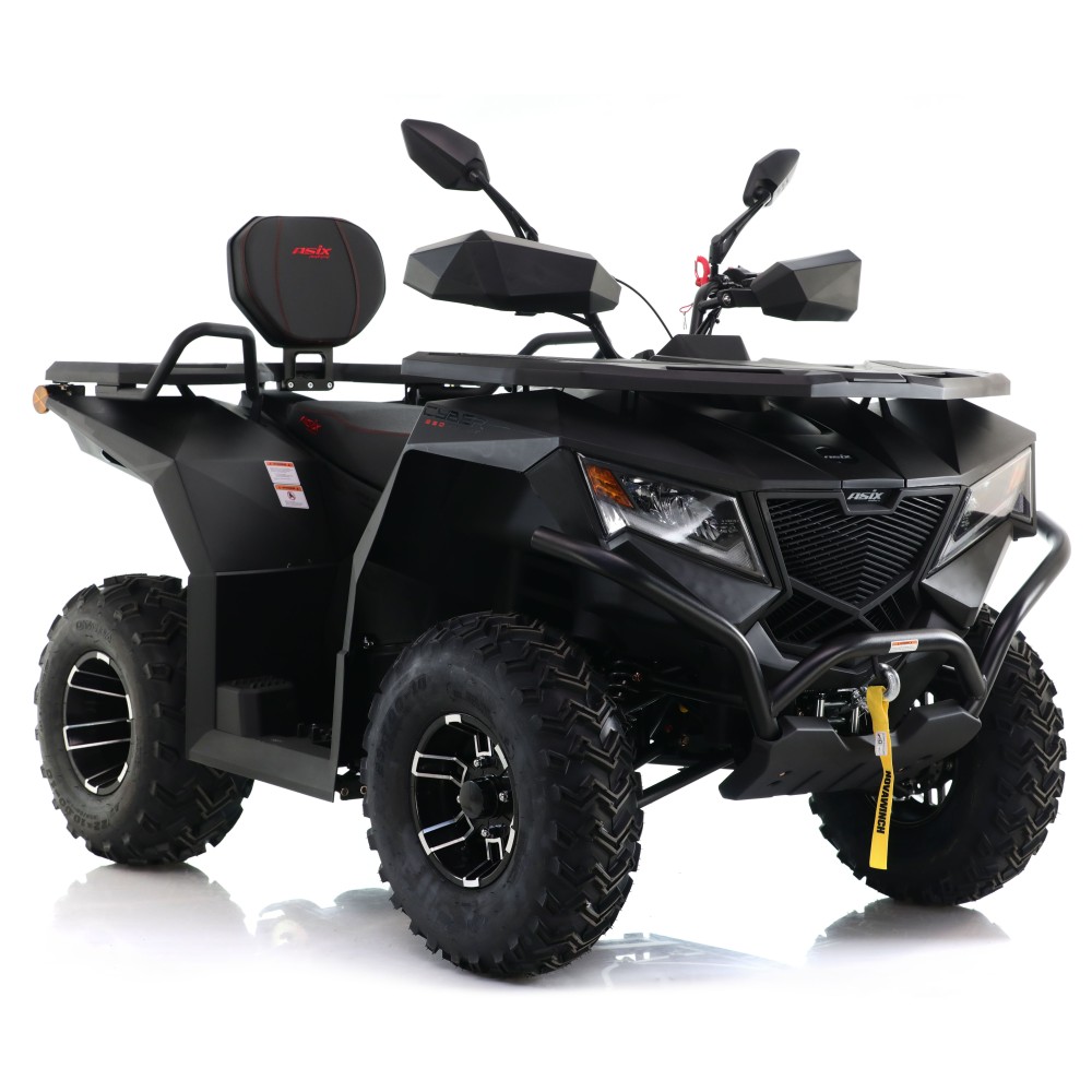 ASIX CYBER 250 T3B  (14).JPG