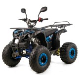 PHYTON 8 006 XTR QUAD 125 (3).jpg