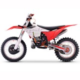MT 250 RED  (5).jpg