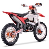 MT 250 RED  (7).jpg