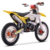 MT250  YELLOW (2).jpg