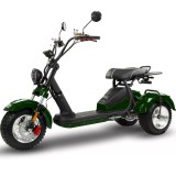BILI COCO  TRÓJKOŁOWY HM SPORT  Skuter elektryczny _www.skuter.co_tel. 601077333 _ skutery Kraków_ 32-085 Szyce ul. Olkuska 97 (1.jpg