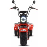 BILI COCO  TRÓJKOŁOWY HM SPORT  Skuter elektryczny _www.skuter.co_tel. 601077333 _ skutery Kraków_ 32-085 Szyce ul. Olkuska 97 (1 (26).jpg
