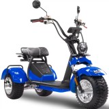 BILI COCO  TRÓJKOŁOWY HM SPORT  Skuter elektryczny _www.skuter.co_tel. 601077333 _ skutery Kraków_ 32-085 Szyce ul. Olkuska 97 (1 (27).jpg