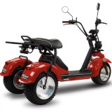 BILI COCO  TRÓJKOŁOWY HM SPORT  Skuter elektryczny _www.skuter.co_tel. 601077333 _ skutery Kraków_ 32-085 Szyce ul. Olkuska 97 (1 (28).jpg