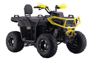 Barton Dirtman 125 quad