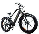 ROWER ELEKTRYCZNY FATBIKE LTA-ST007 rowery elektryczne Kraków www.skuter.co 32-085 Szyce ul.Olkuska 97 (14).jpg