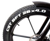 ROWER ELEKTRYCZNY FATBIKE LTA-ST007 rowery elektryczne Kraków www.skuter.co 32-085 Szyce ul.Olkuska 97 (18).jpg