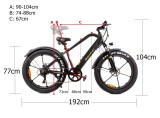 ROWER ELEKTRYCZNY FATBIKE LTA-ST007 rowery elektryczne Kraków www.skuter.co 32-085 Szyce ul.Olkuska 97 (20).jpg