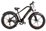 ROWER ELEKTRYCZNY FATBIKE LTA-ST007 rowery elektryczne Kraków www.skuter.co 32-085 Szyce ul.Olkuska 97 (24).jpg