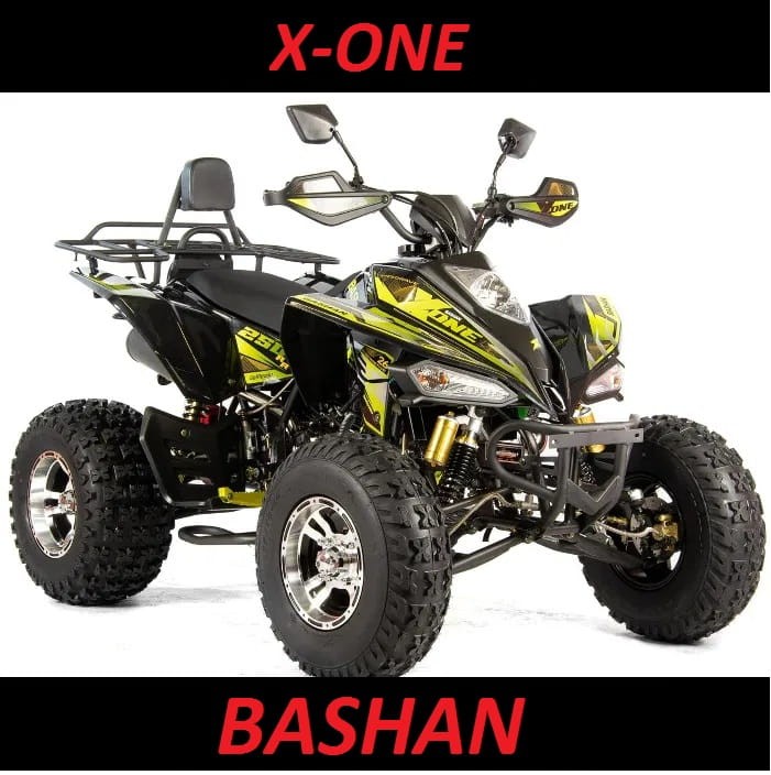 bashan 250cc _www.skuter (4).jpg