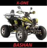 bashan 250cc _www.skuter (4).jpg