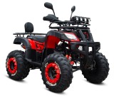 Quad_XTR_HUMMER-012_10_PRO_250cc_(9).jpg