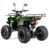 quad-xtr-phyton-8-125cm3 (3).jpg