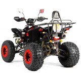 quad-bashan-xone-250cm3-homologacja-drogowa-stal 4.jpg