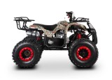 FORCE 125 quad dla dziecka _www.skuter.co_quady Kraków_ quady Małopolska (2).jpg