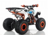 QUAD APOLLO AVENGER 8 125CC , quady Kraków , Motocykle skutery  ,www.skuter.co , 32-085 Szyce ul Olkuska 97  (46).JPG