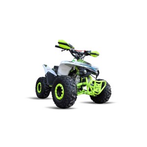 BERRETA KIDS 125cc quad