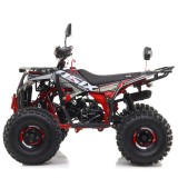 Quad ASIX Commander-08.jpg