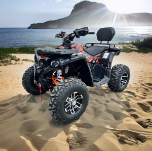 BERRETA  EGL 200cc quad 