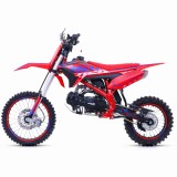 lizzard125-111.jpg