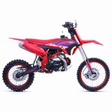 lizzard125-114.jpg