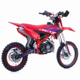 lizzard125-115.jpg