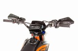 lizzard125-121.jpg