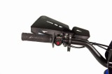 lizzard125-122.jpg