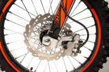 lizzard125-129.jpg