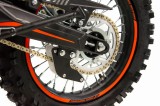 lizzard125-131.jpg