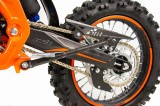lizzard125-132.jpg