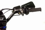 lizzard125-139.jpg