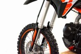 lizzard125-142.jpg