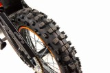 lizzard125-146.jpg