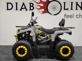 QUAD DIABOLINI SHARMAX 200 cm3 (2).jpg
