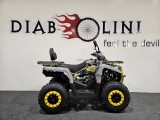QUAD DIABOLINI SHARMAX 200 cm3 (3).jpg