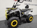 QUAD DIABOLINI SHARMAX 200 cm3 (6).jpg
