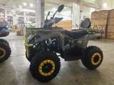 QUAD DIABOLINI SHARMAX 200 cm3 (8).jpg
